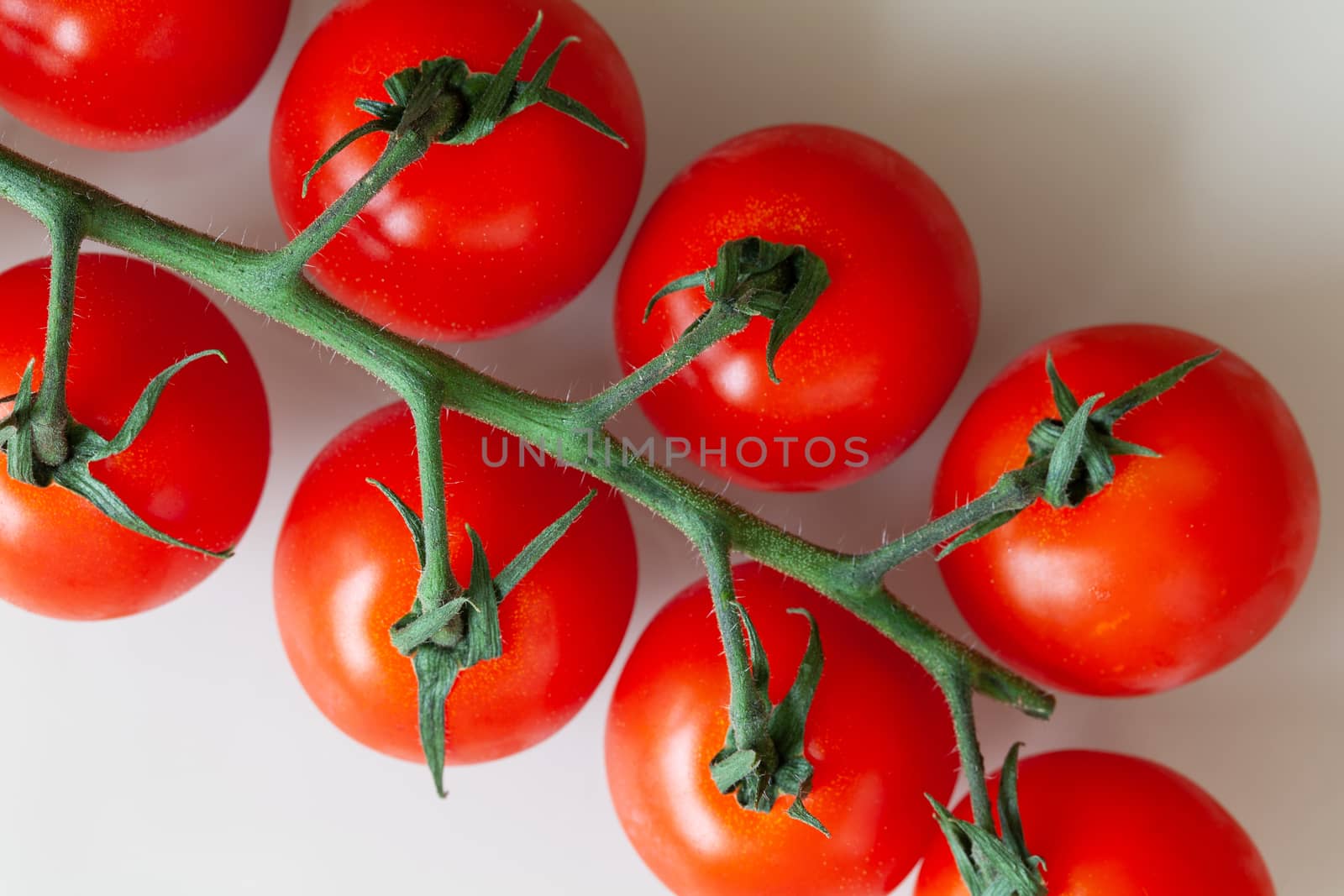 Fresh red cherry tomatoes on twig on white background. Macro, flat lay. Horizontal. Can be used in vertical format.
