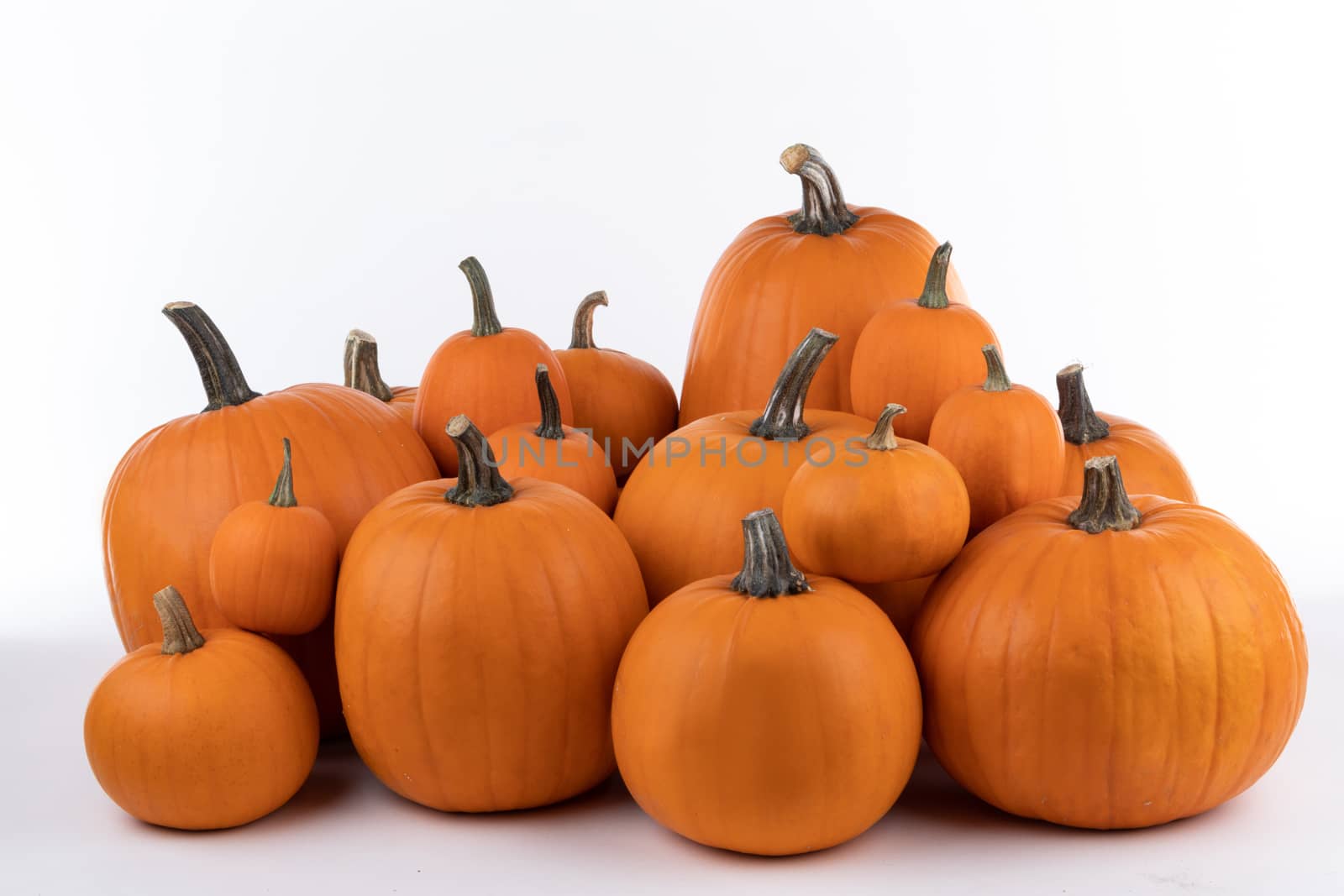 Heap of many orange pumpkins isolated on white background, Halloween concept