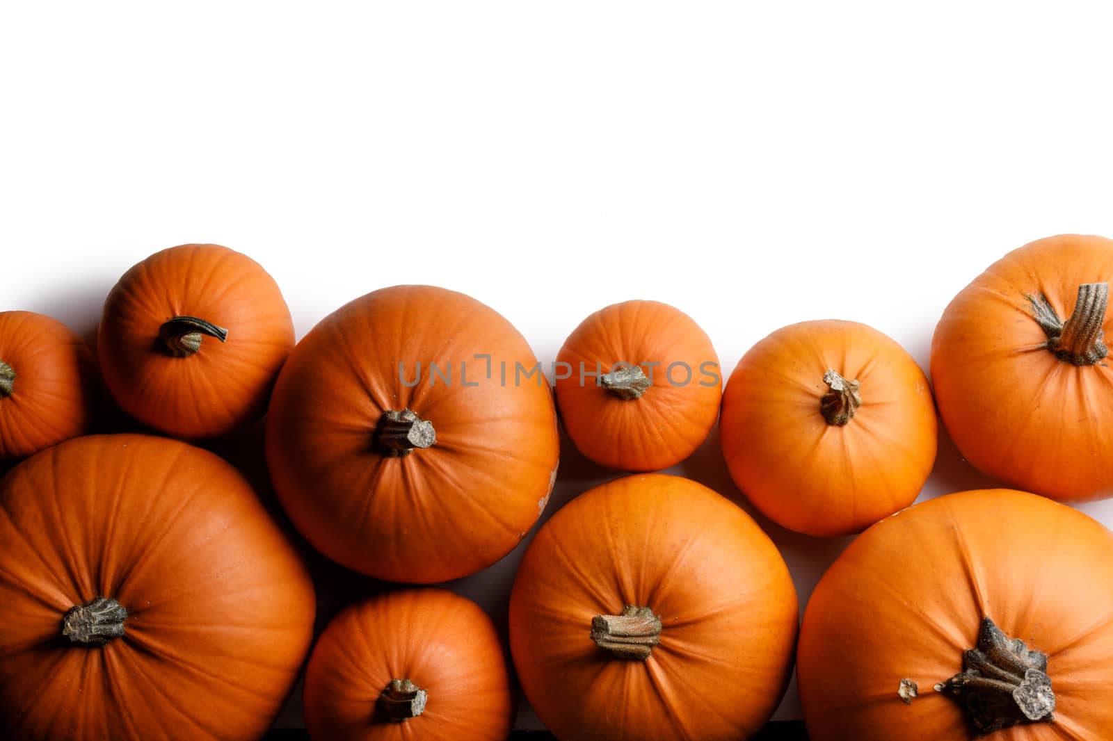 Many orange pumpkins isolated on white background, border frame, Halloween concept