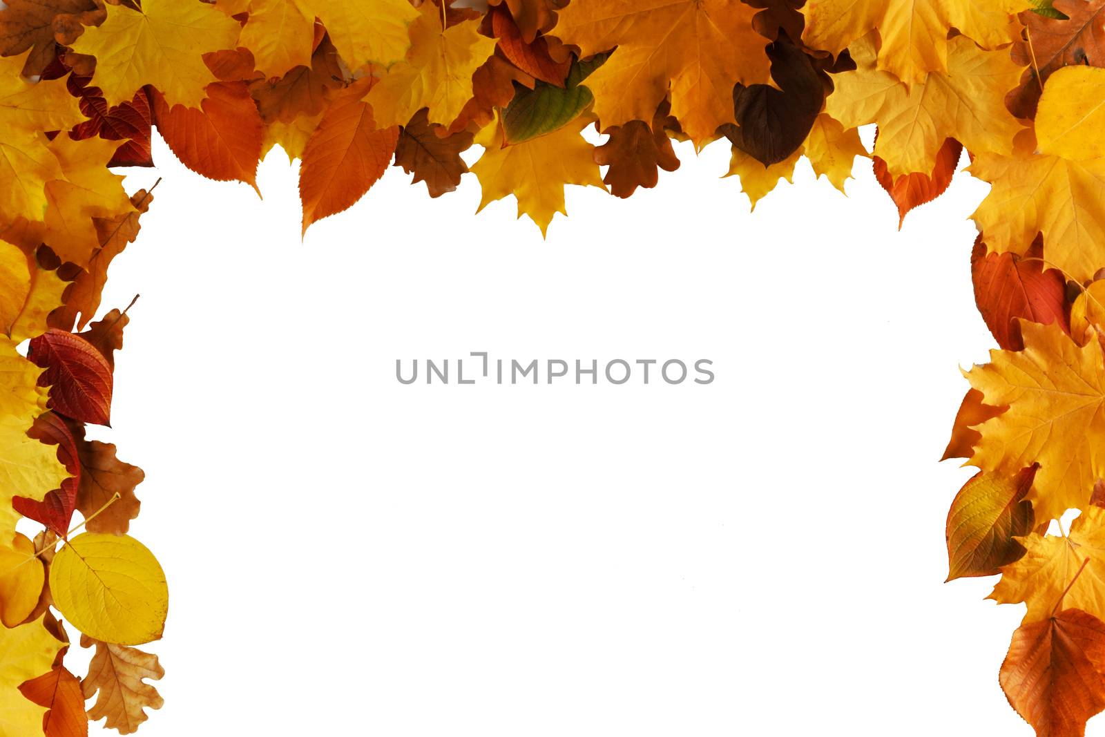 Autumn leaves frame by Yellowj