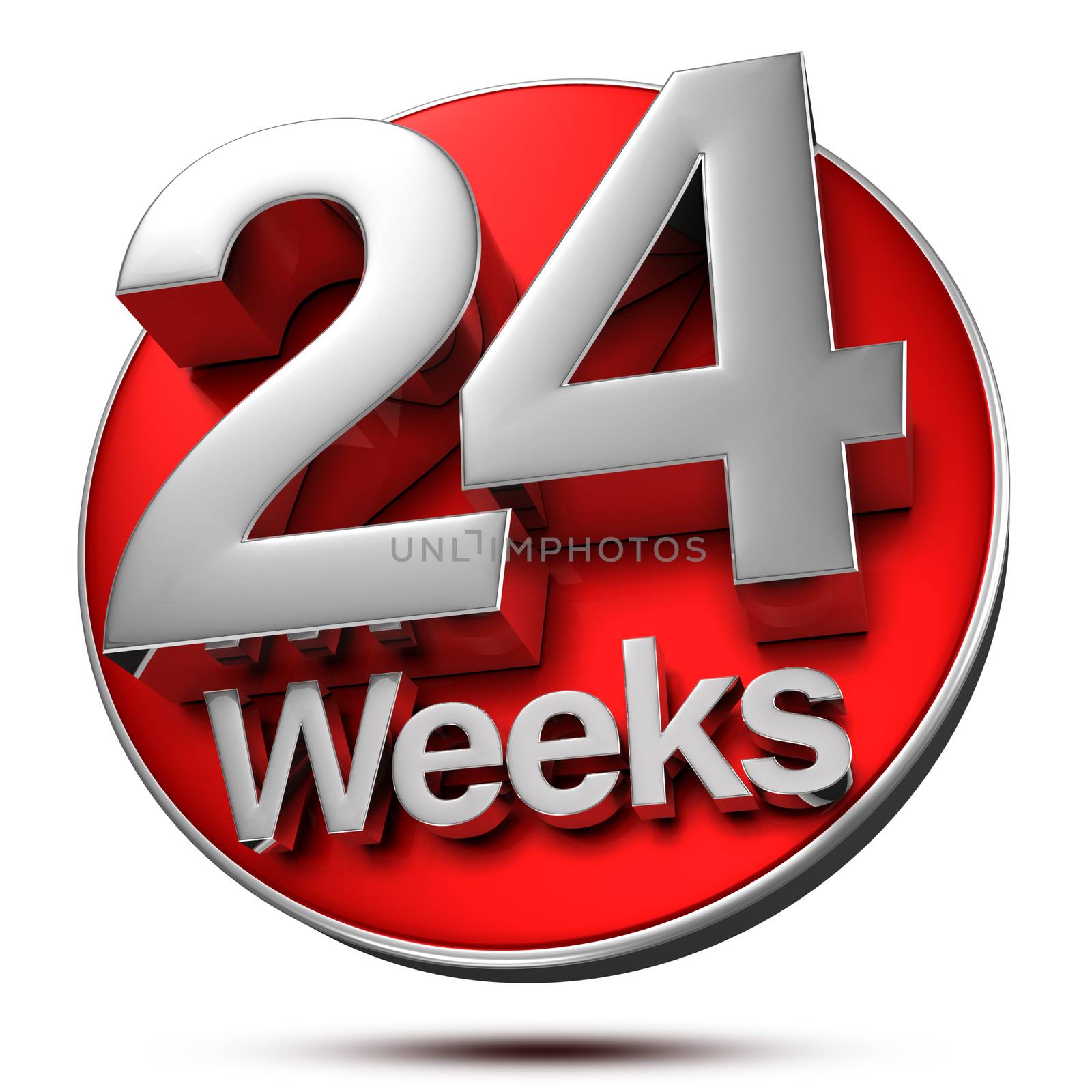 24 Weeks 3d rendering on white background.(with Clipping Path).