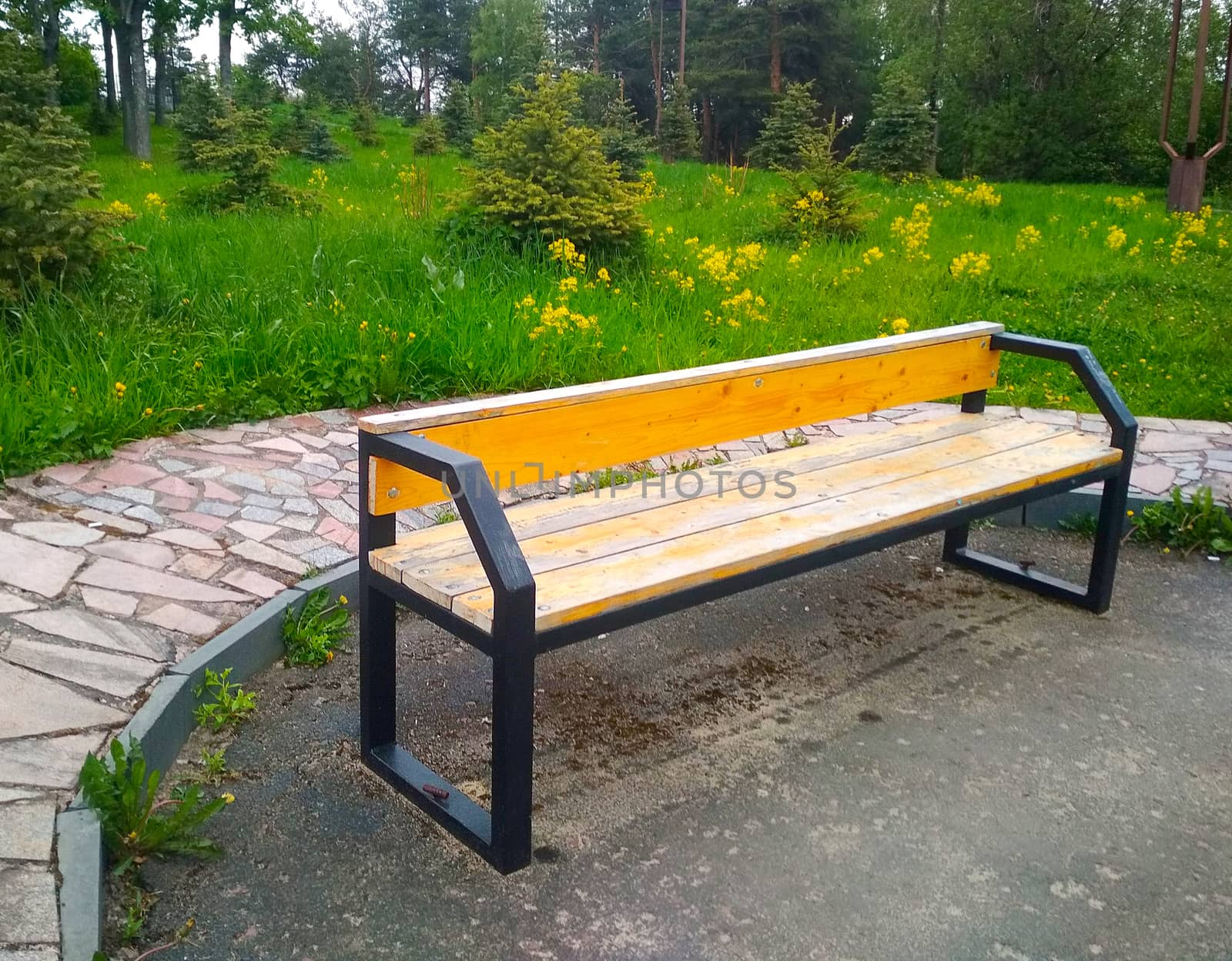 A wooden bench with a metal frame in the Park at an angle to the viewer.