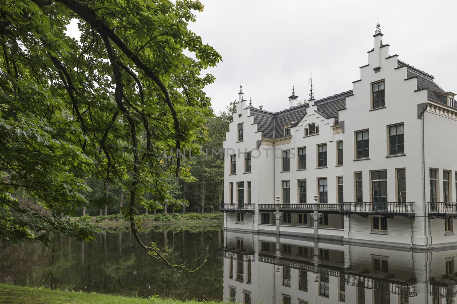 Castle Staverden reflecting in the moat and surrounded by nature trees and park