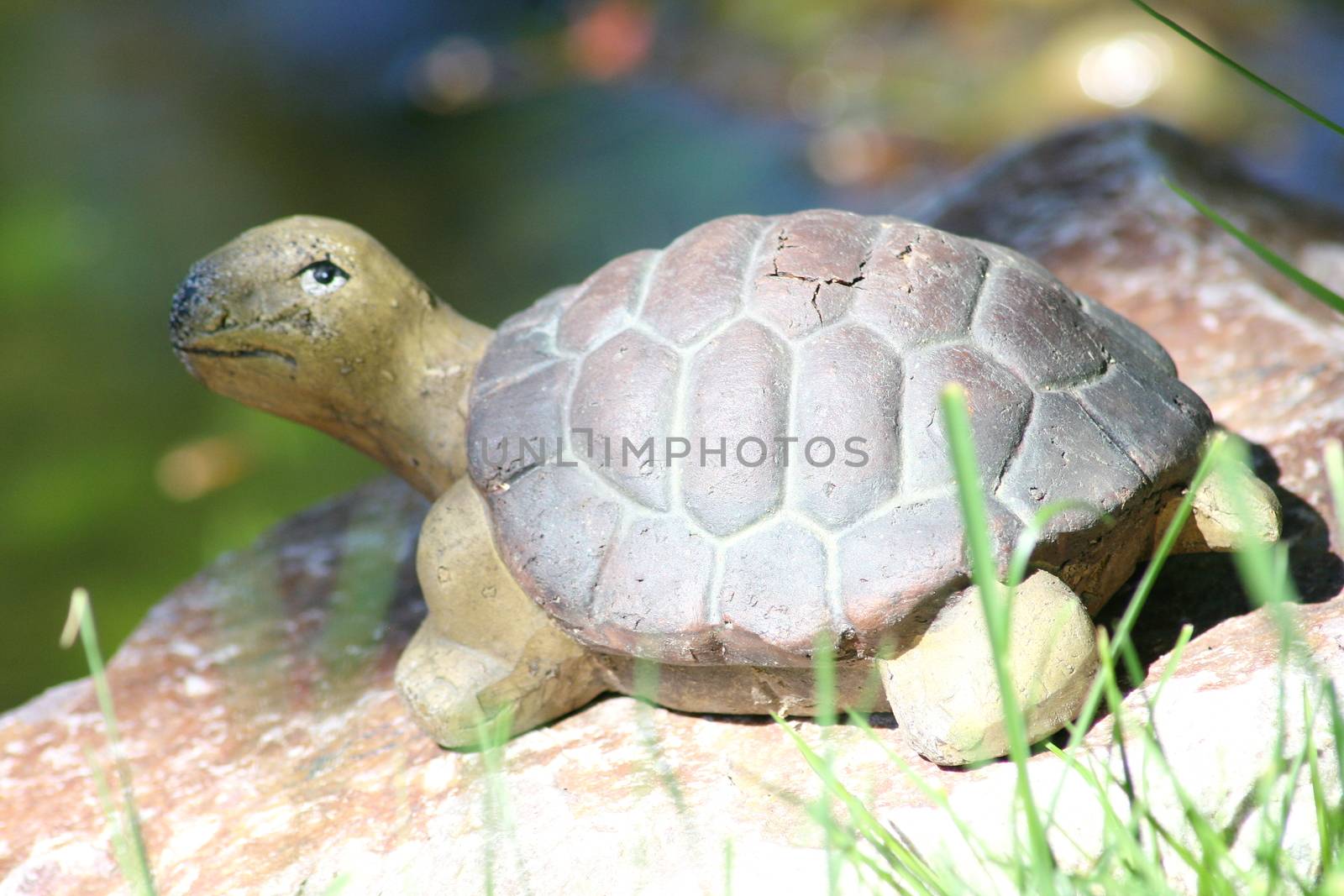 a small turtle, made of ceramic  eine kleine Schildkr�te, aus Keramik gefertigt