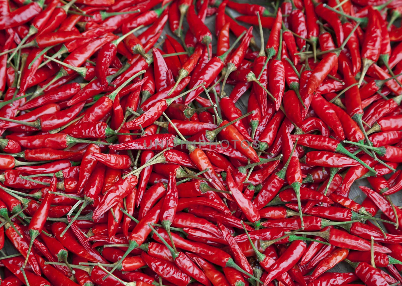 Many red chili peppers filling the frame