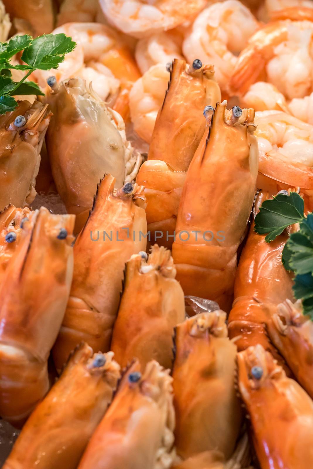 Freshly cooked prawns - shrimp on ice