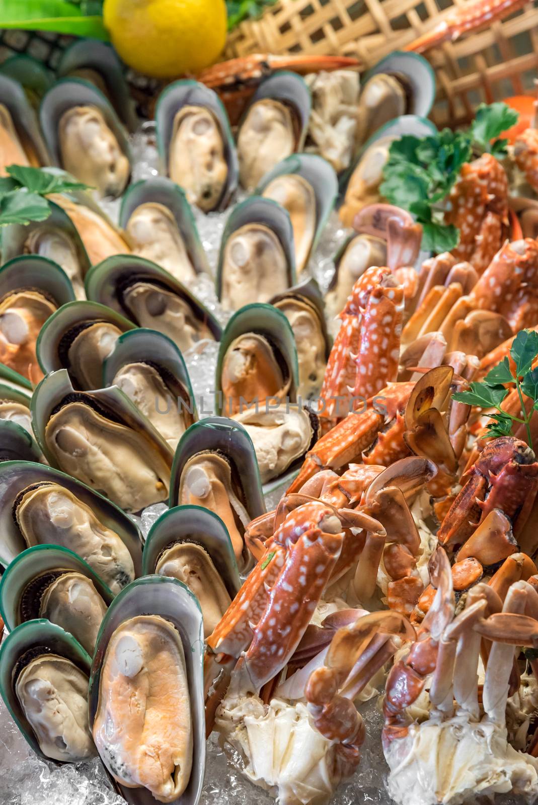 Fresh Seafood on ice in buffet line