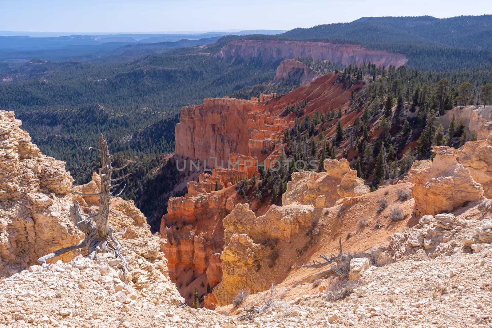 Bryce Canyon National Park, Utah USA by vichie81