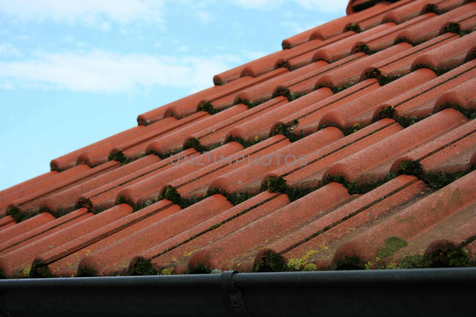 Tile roof covered with red tiles, overgrown with moss  Ziegeldach eingedeckt mit roten Dachziegel,mit Moos bewachsen