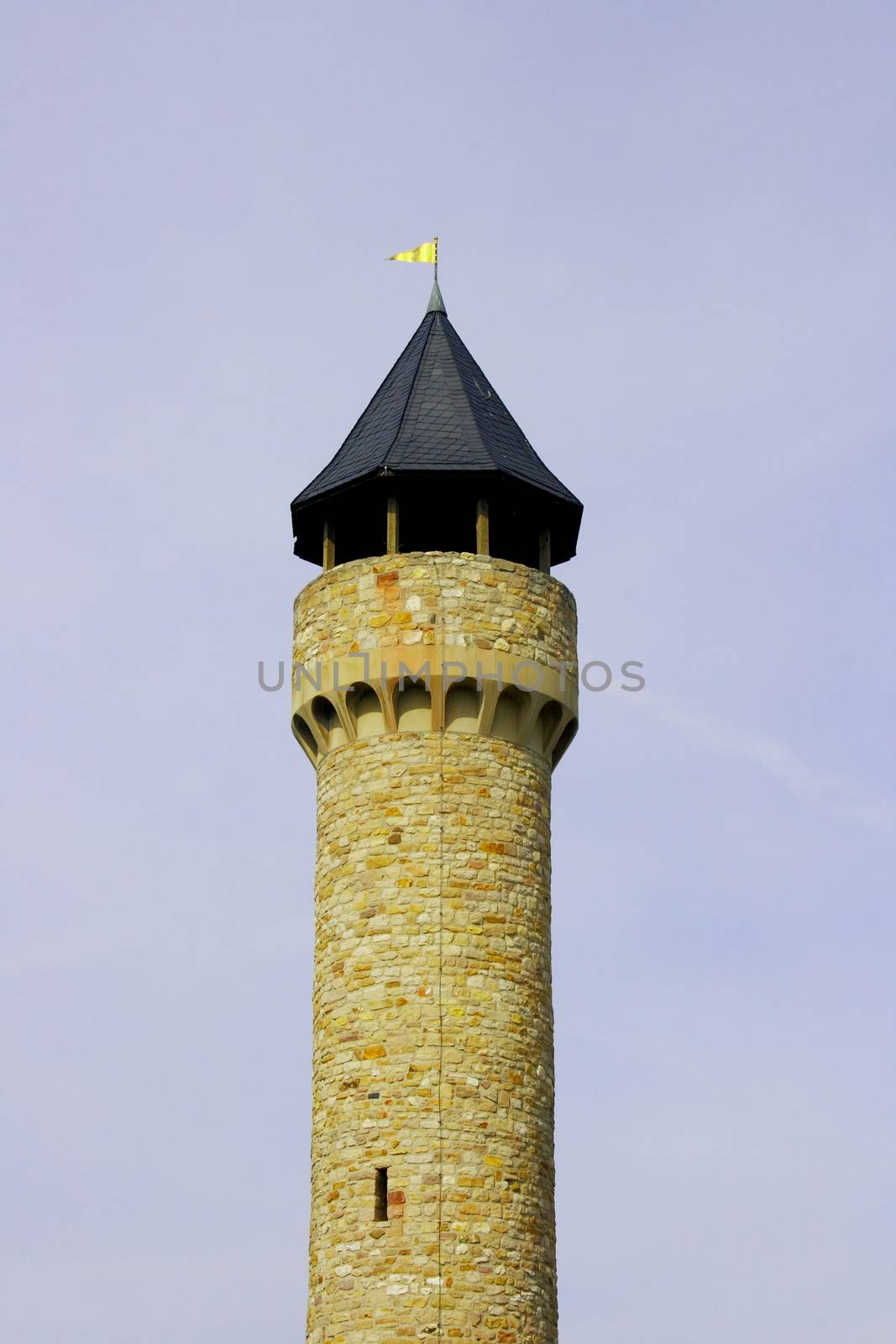 The Wartburg Castle tower in Freimersheim, Germany    der Wartburgturm bei Freimersheim,Deutschland
