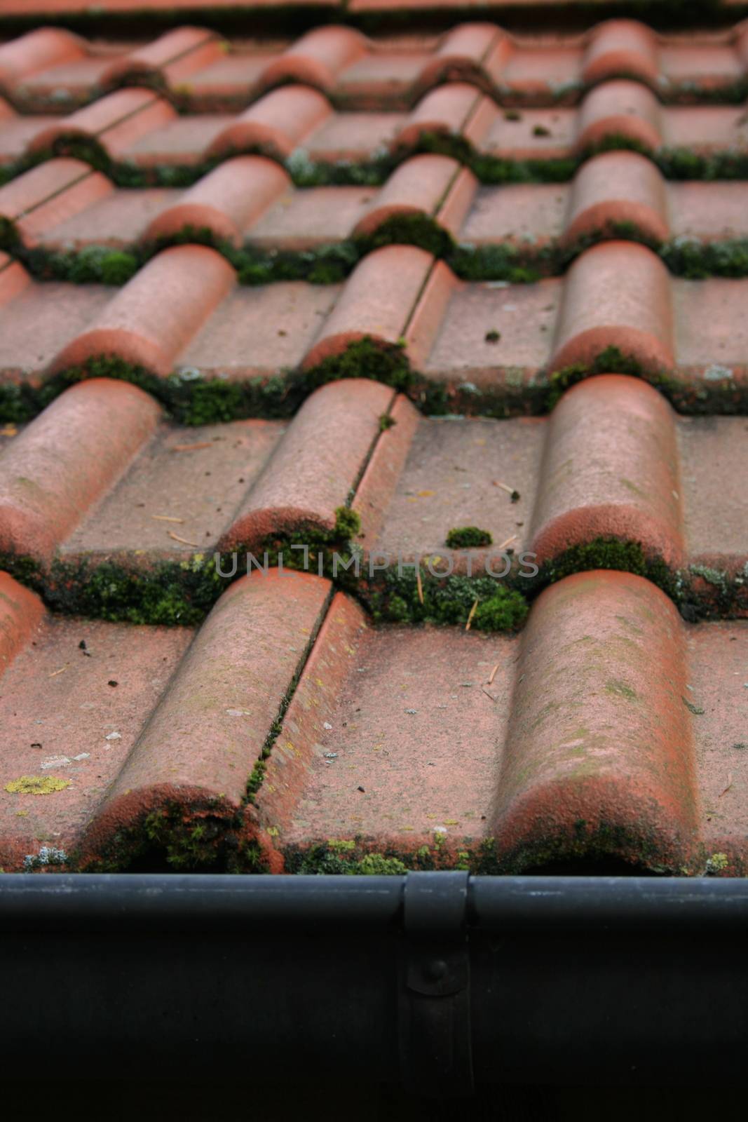 Tile roof covered with red tiles, overgrown with moss     Ziegeldach eingedeckt mit roten Dachziegel,mit Moos bewachsen by hadot