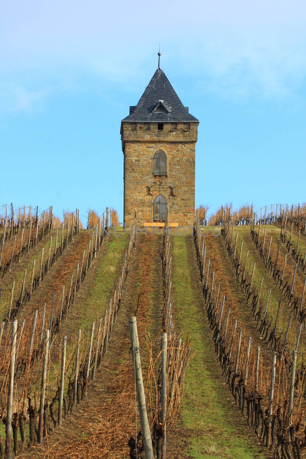 an old, square, tower with pointed roof in the Vineyard     Ein alter,eckiger,Turm mit spitzdach im Weinberg