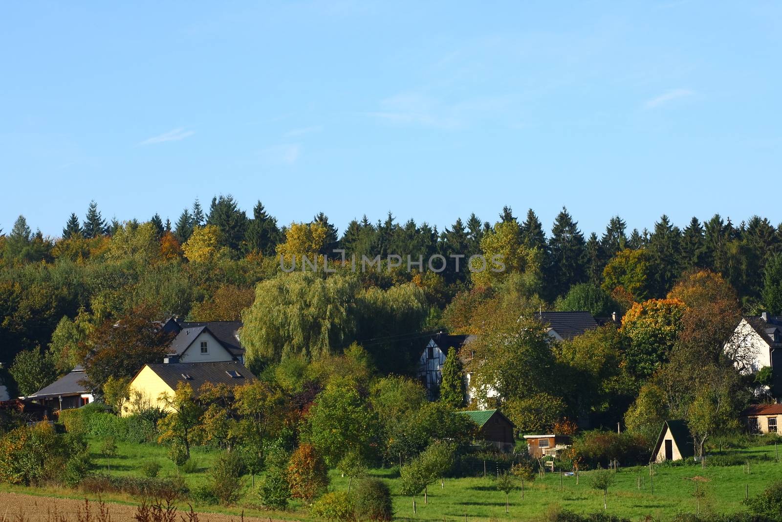 a small idyllic village in the forest    ein kleines Dorf idyllisch im Wald gelegen
