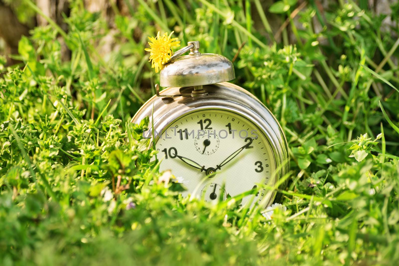 Spring time. Summer time. Old fashioned clock on half hidden in the grass.
