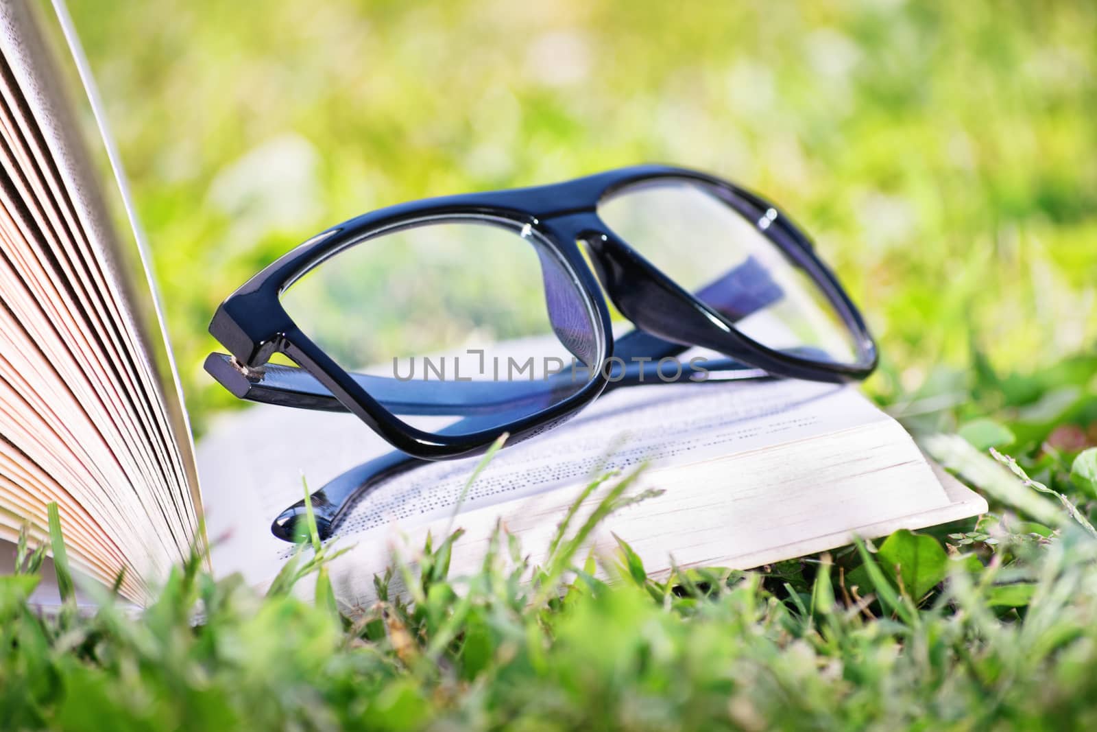 An open book with glasses on a meadow by Mendelex