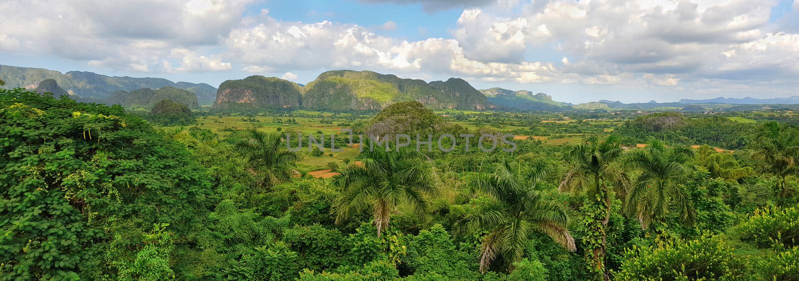Panoramic view of Cuban green rain forest  by Mendelex