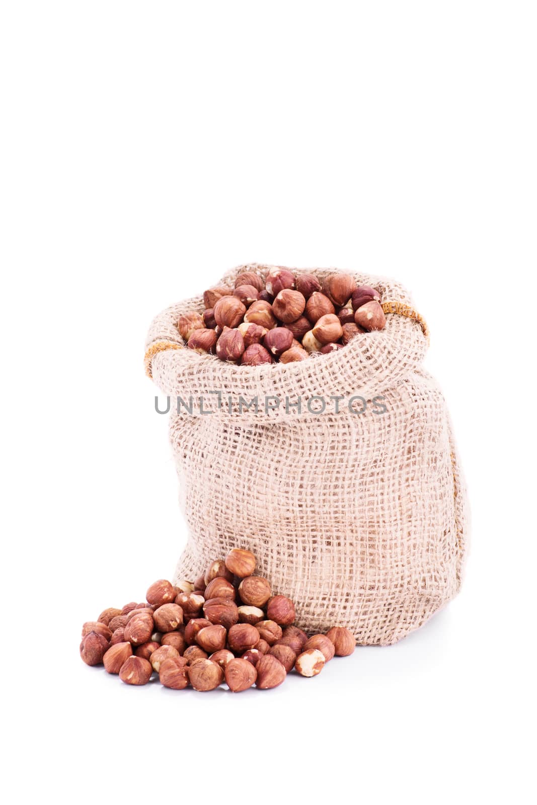 Small sack of fresh hazelnuts by Mendelex