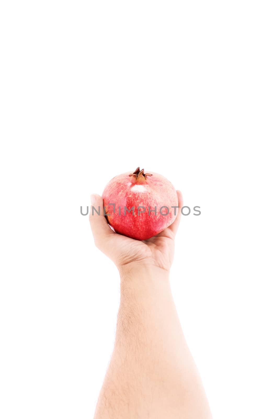 You like pomegranate by Mendelex