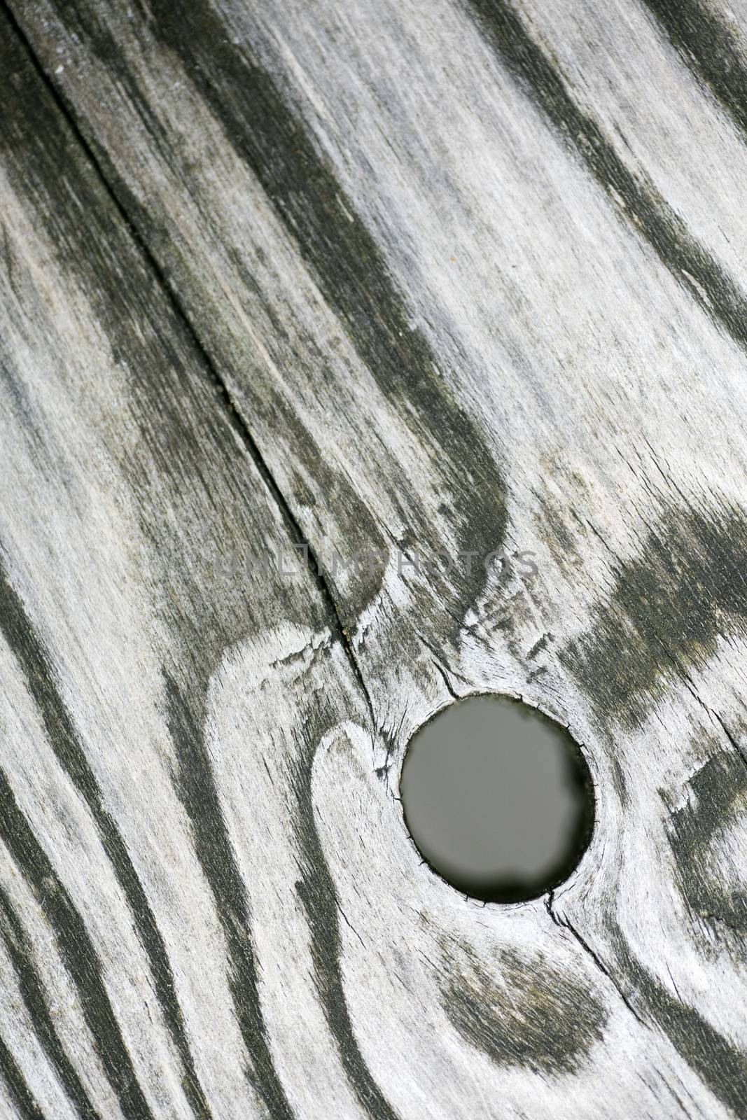 Hole in wood macro fifty megapixels modern texture home decoration digital posters beautiful graphic abstract art smooth colorful design