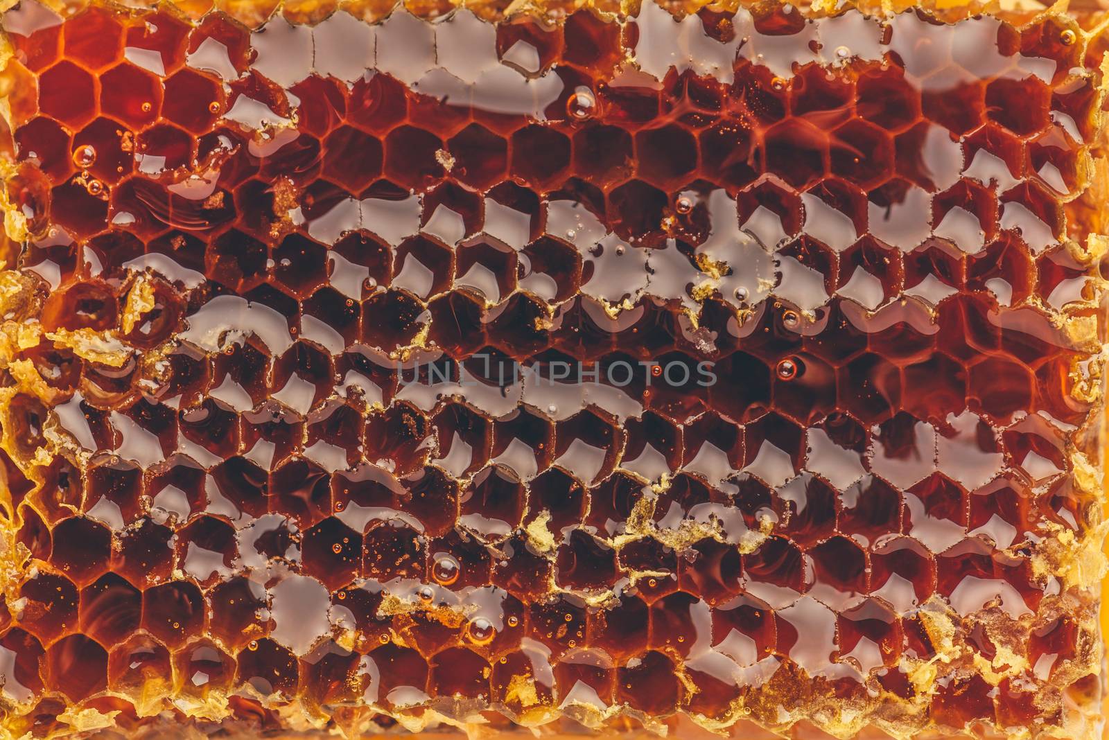 Macro of honeycomb background by Seva_blsv