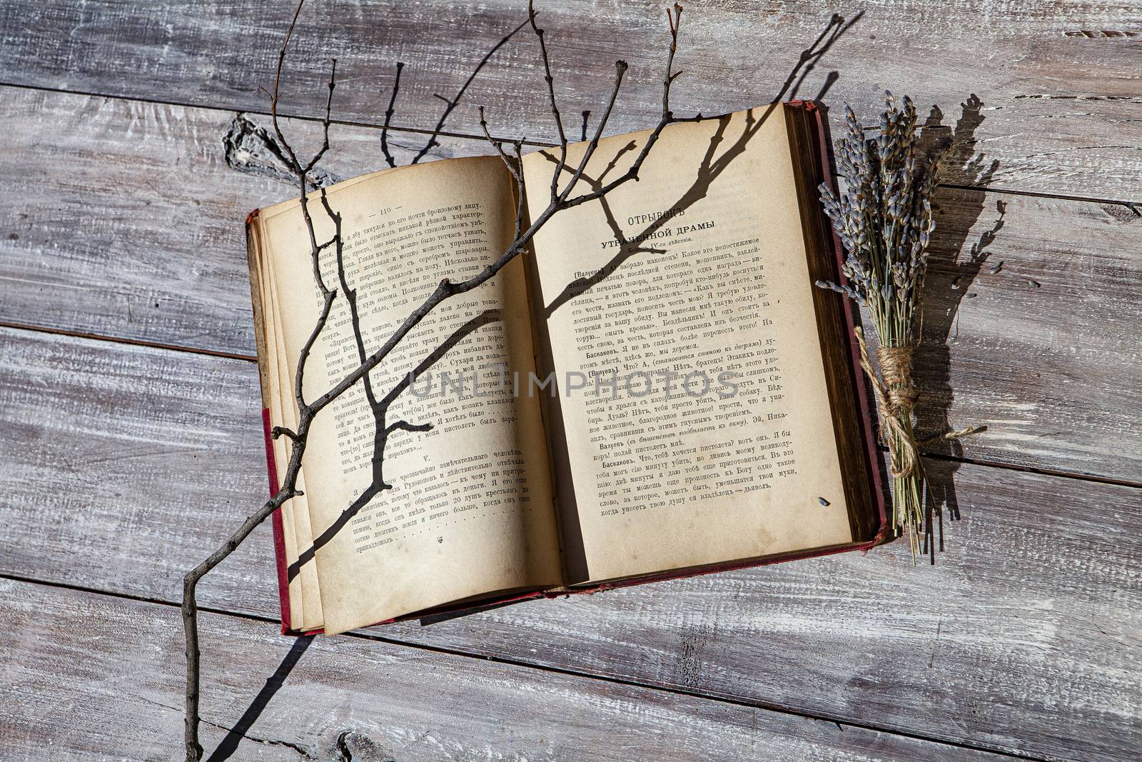 Old book and branch on an old wooden desk