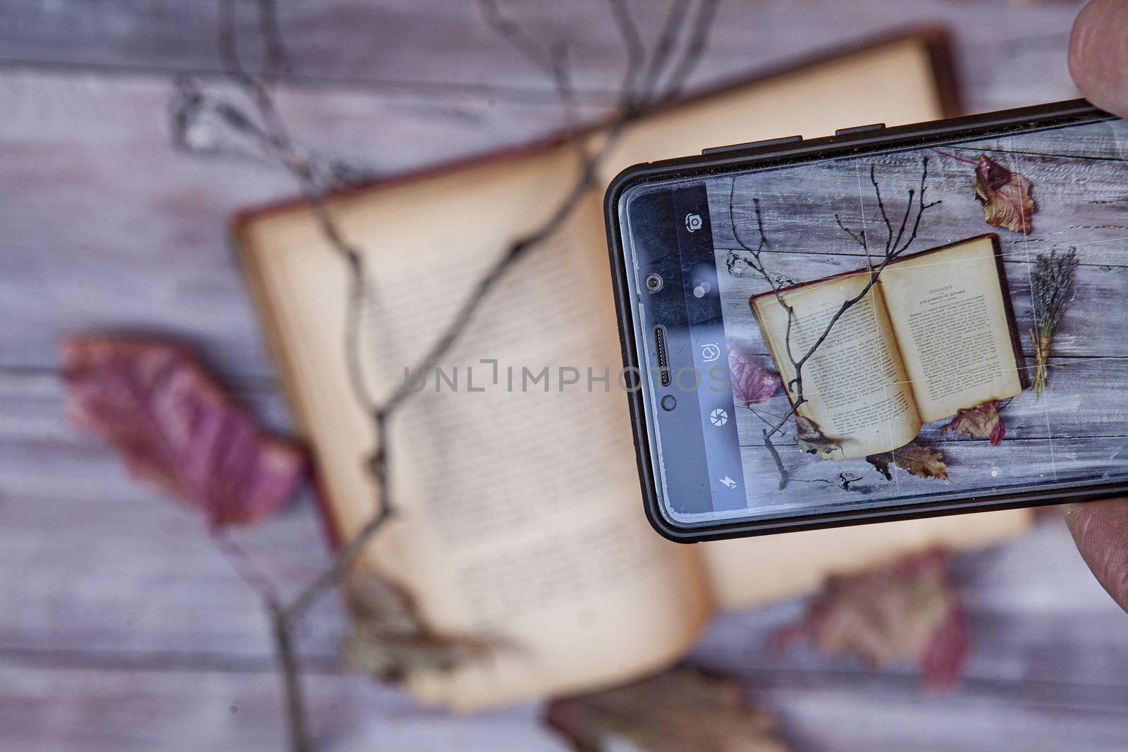 Old book and branch on an old wooden desk