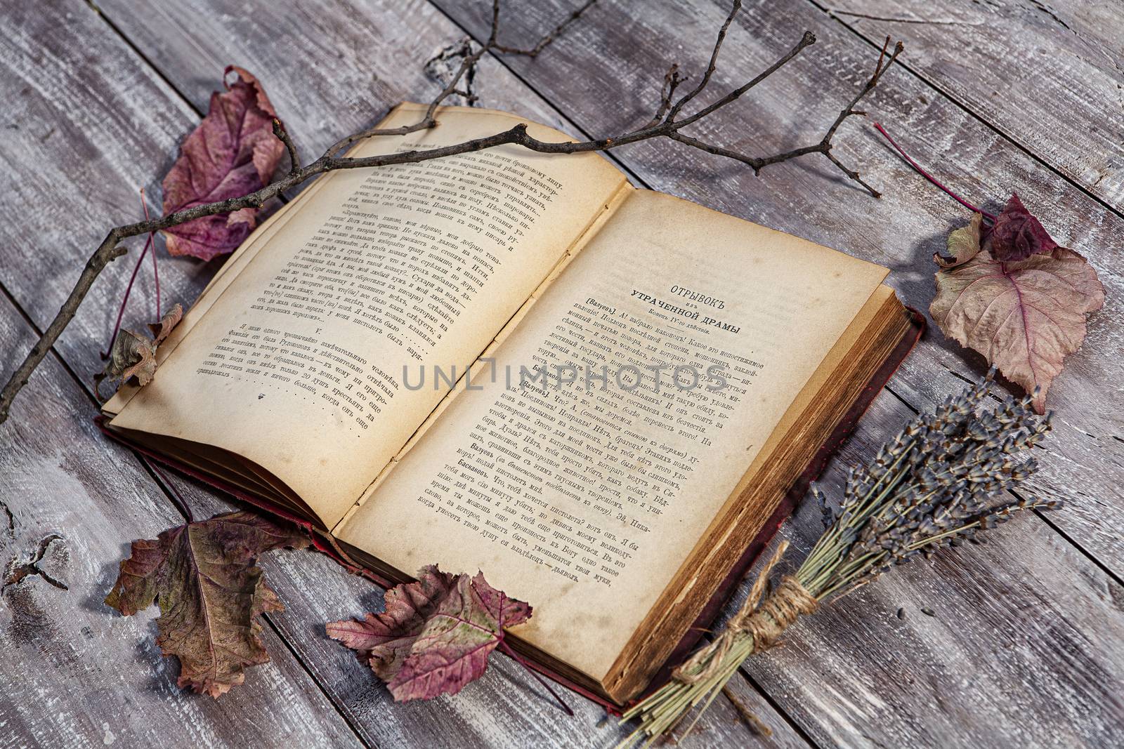 Old book and branch on an old wooden desk