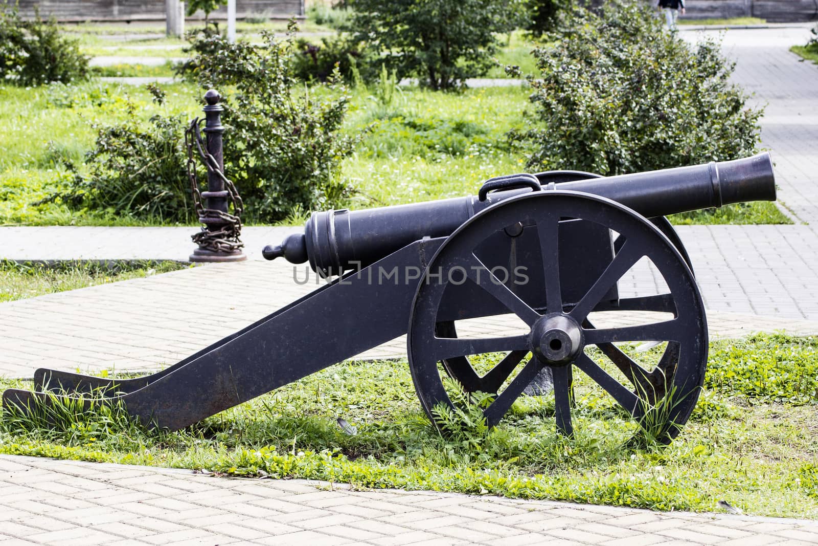 Cannon shooting nuclei of the late eighteenth century on the background of the Bush.