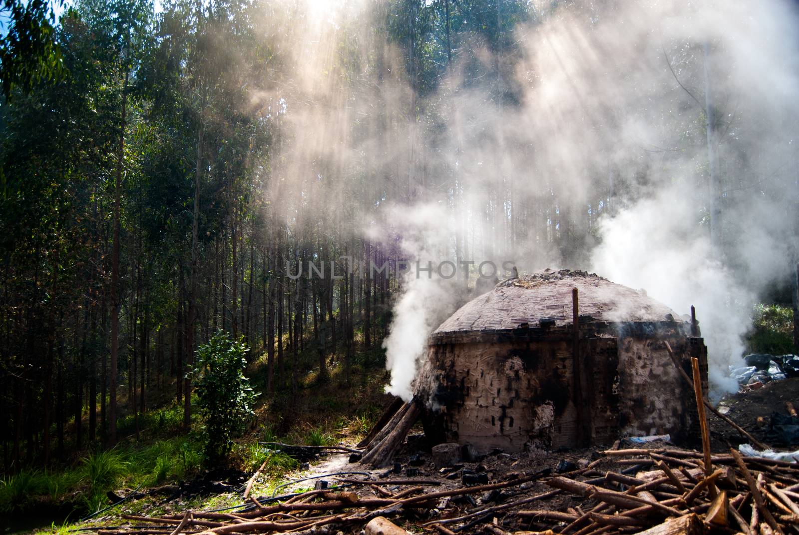 Handmade charcoal kiln for charcoal production in small rural properties in southern Brazil.