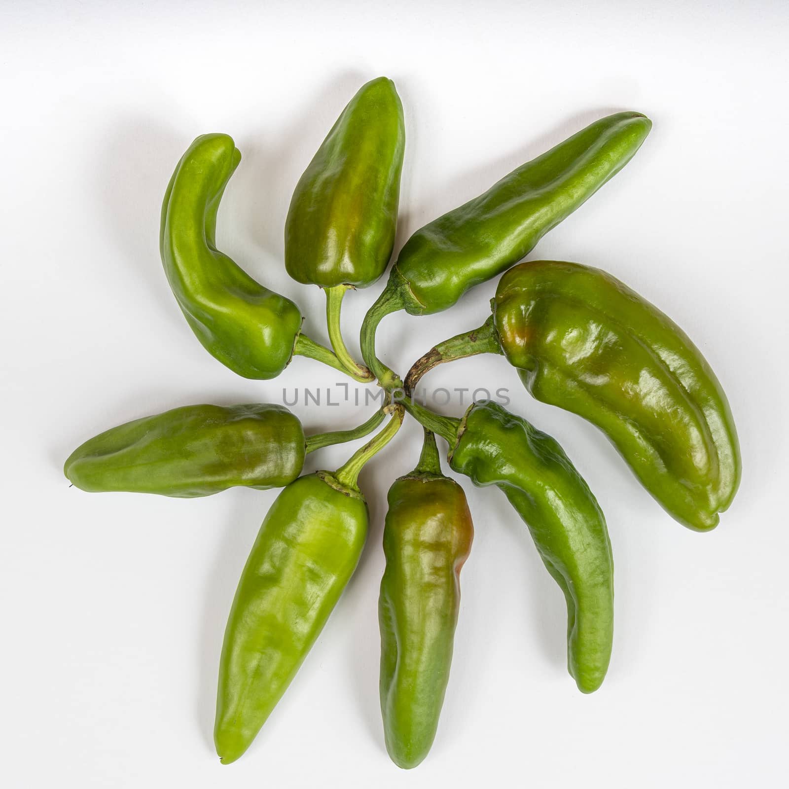 A composition of some green peppers on a colored surface