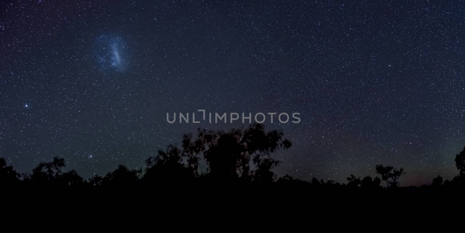 Magellanic Clouds in southern hemisphere night sky above silhouettes of trees in australian outback by MXW_Stock