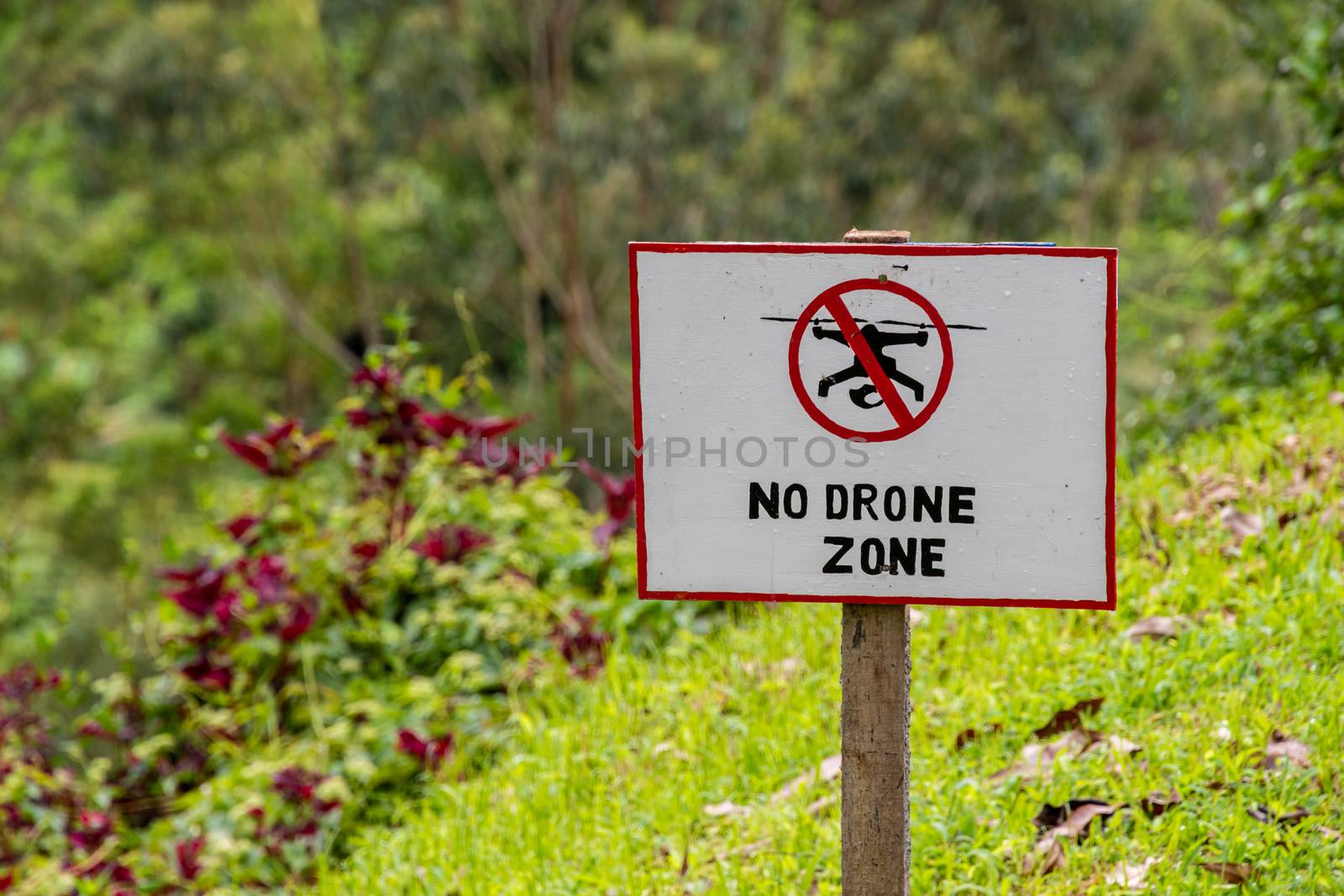 No Drone Zone sign drone flying forbidden by MXW_Stock