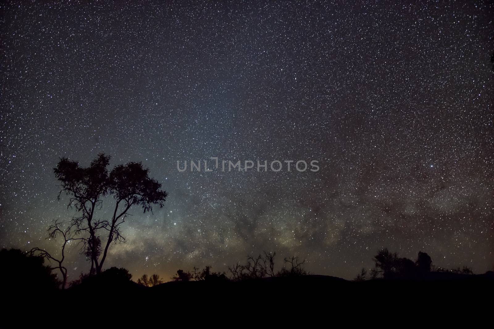 Silhouette of Australian Outback in front of milky way an zodiacal lights