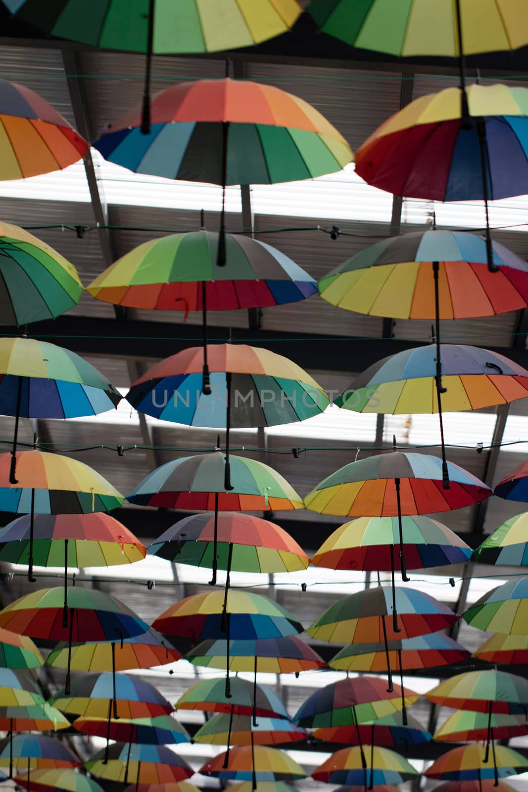 colorful umbrella hanging in the hallway