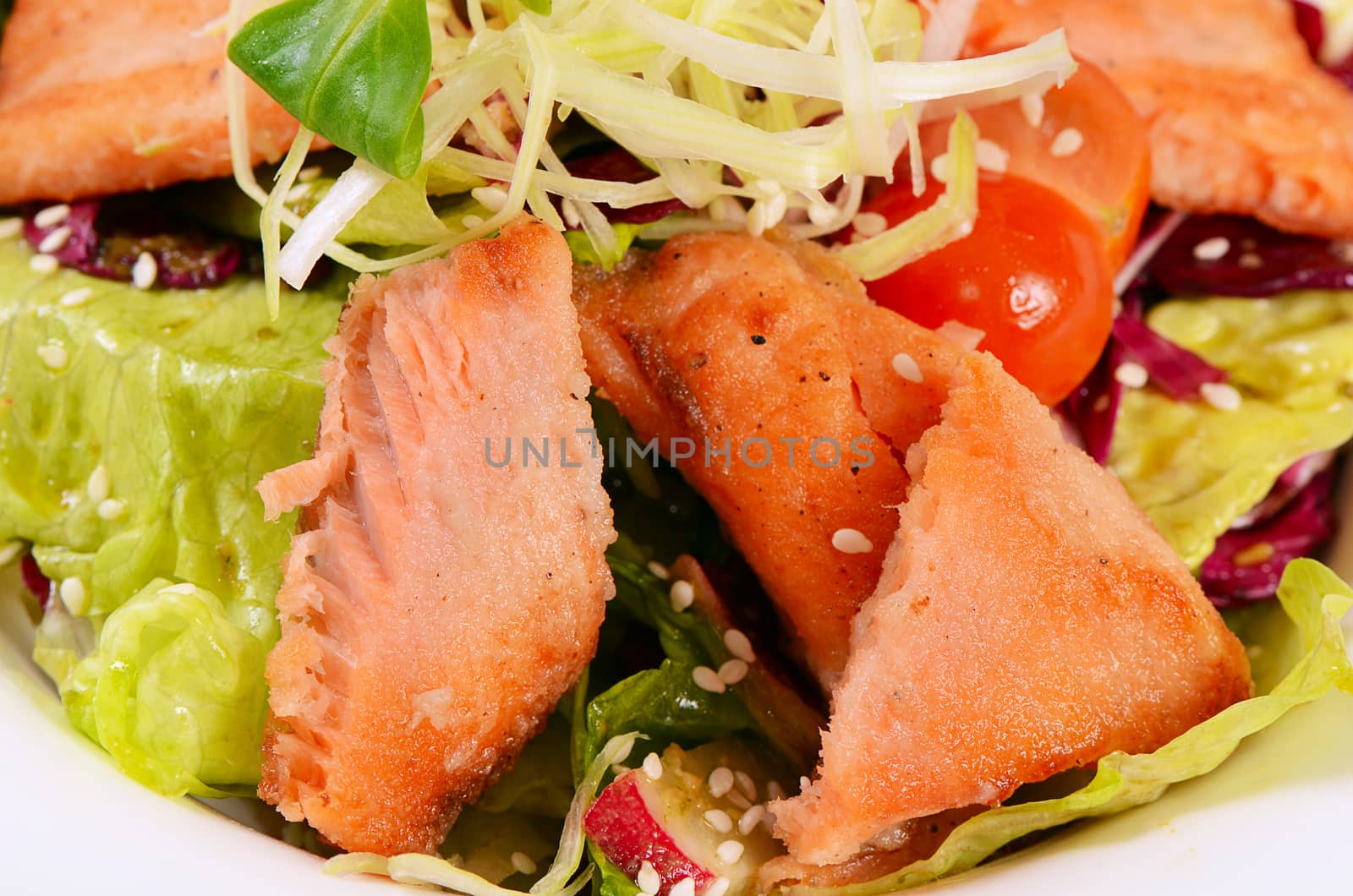 Salad from seafood and a salmon close-up