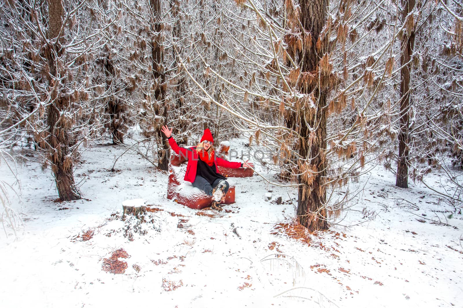 Woman on a couch among the snow covered pine forest in winter by lovleah