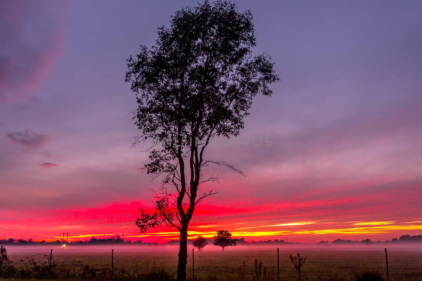 Red dawn skies across rural fields in Australian countryside by lovleah