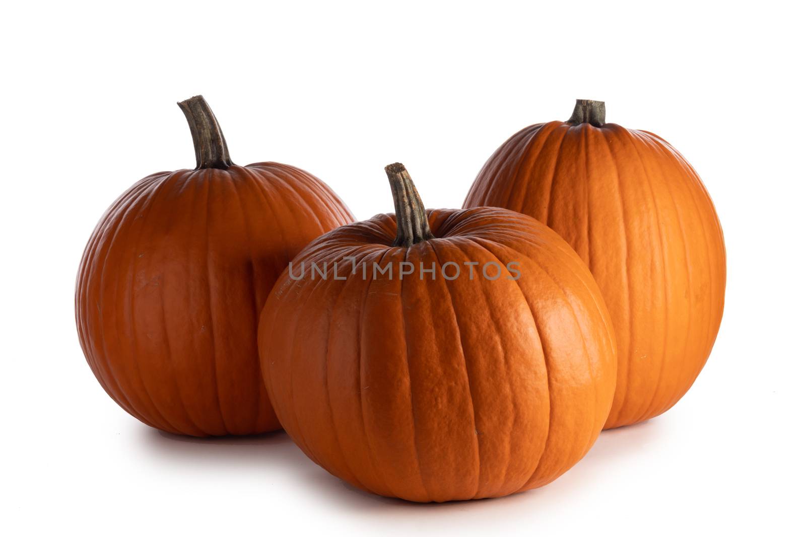 Three perfect orange pumpkins isolated on white background , Halloween concept