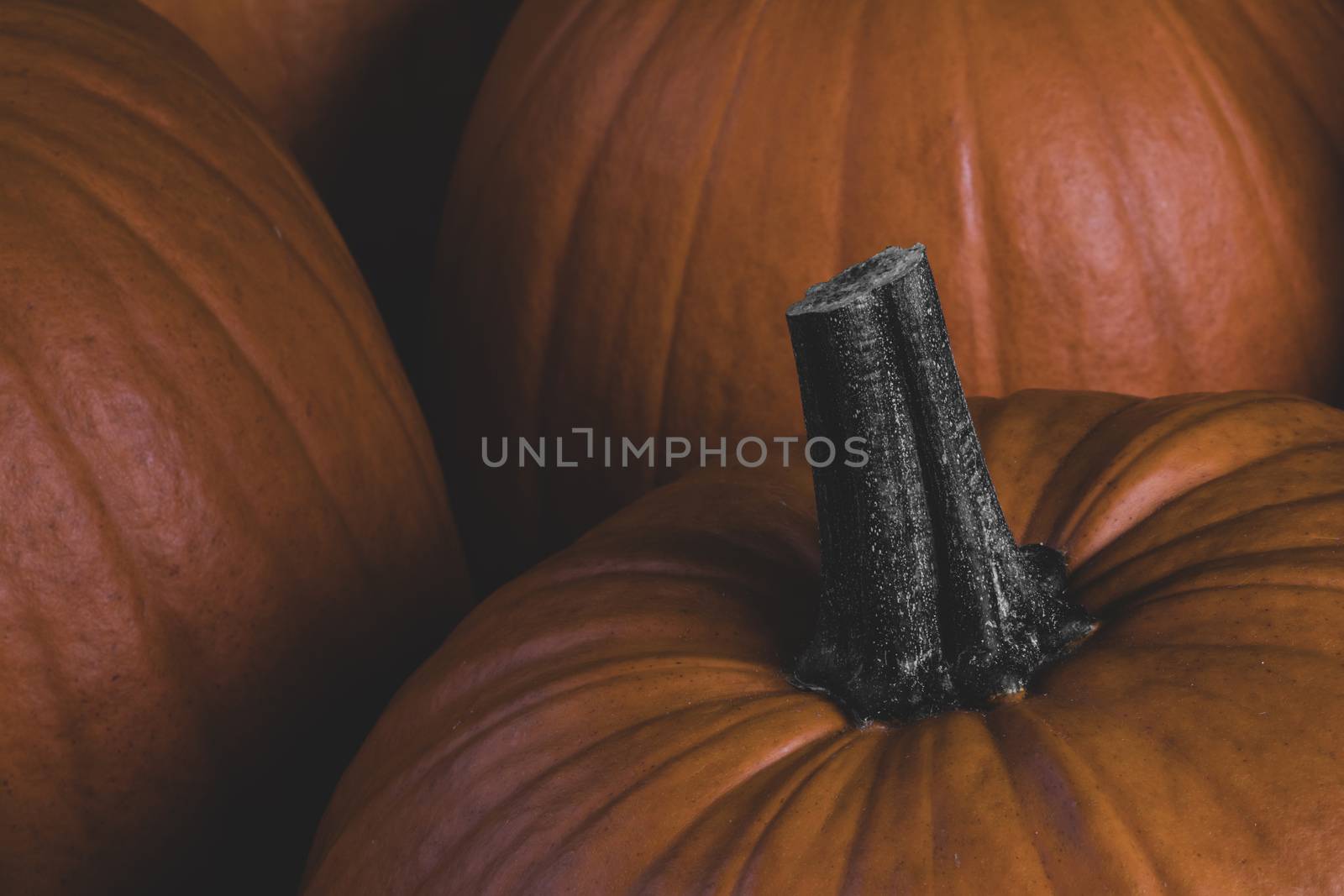 Many orange pumpkins background , Halloween holiday concept