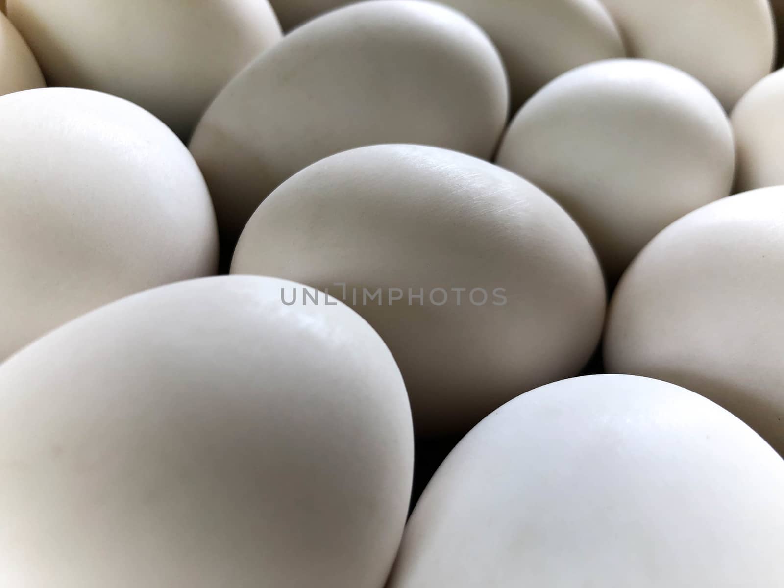 White duck eggs are in the panel wood by N_u_T