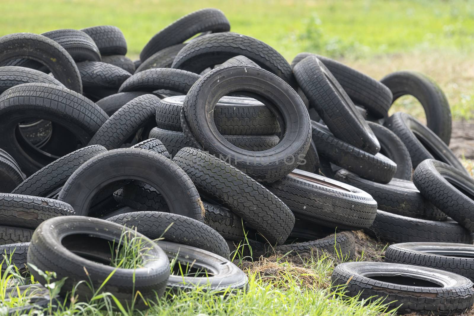 Old worn tires in a grass field on a Dutch farm
