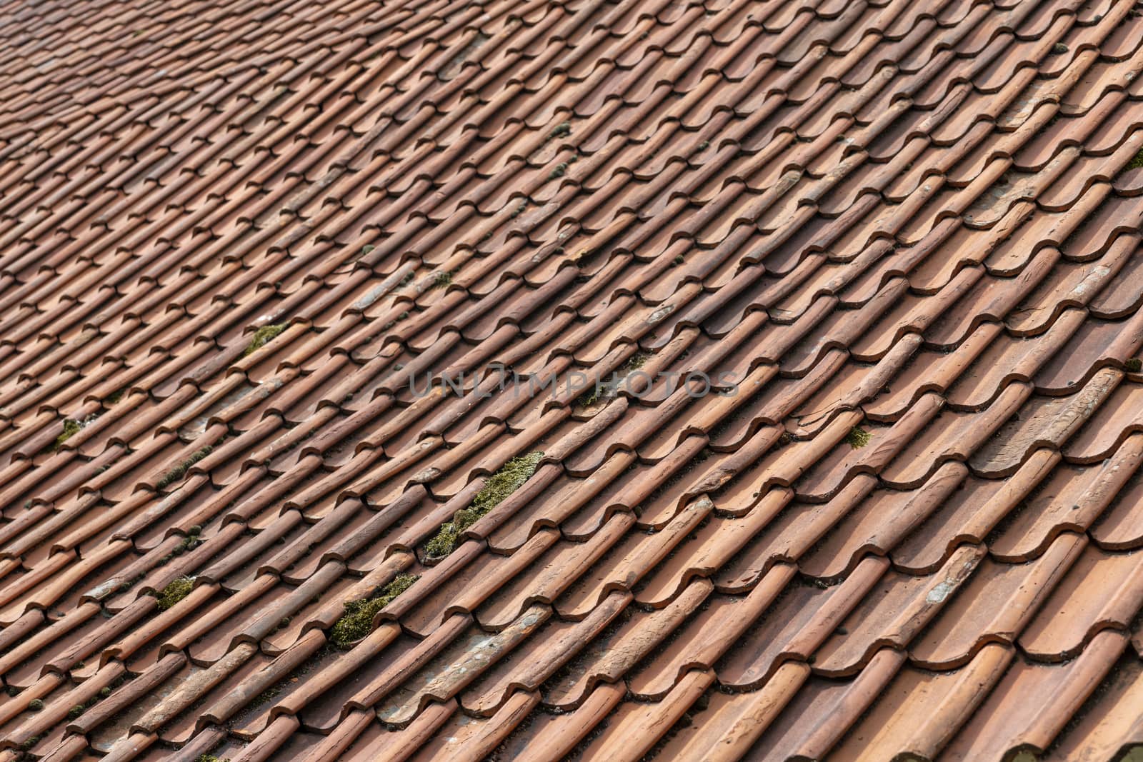 Red orange ceramic tiles on a large roof of an old Dutch farm
