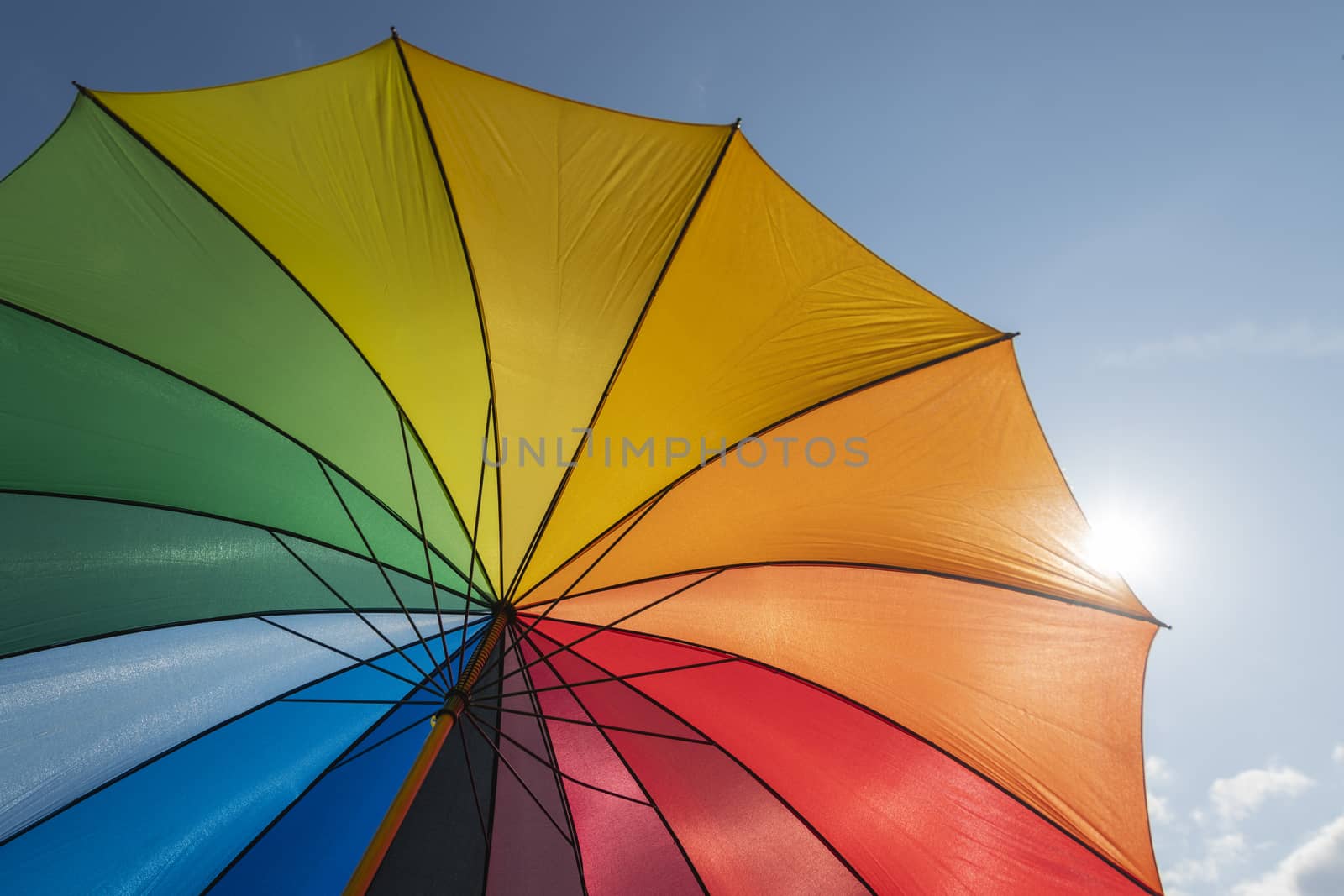 Colorful parasol in summer with backlight
