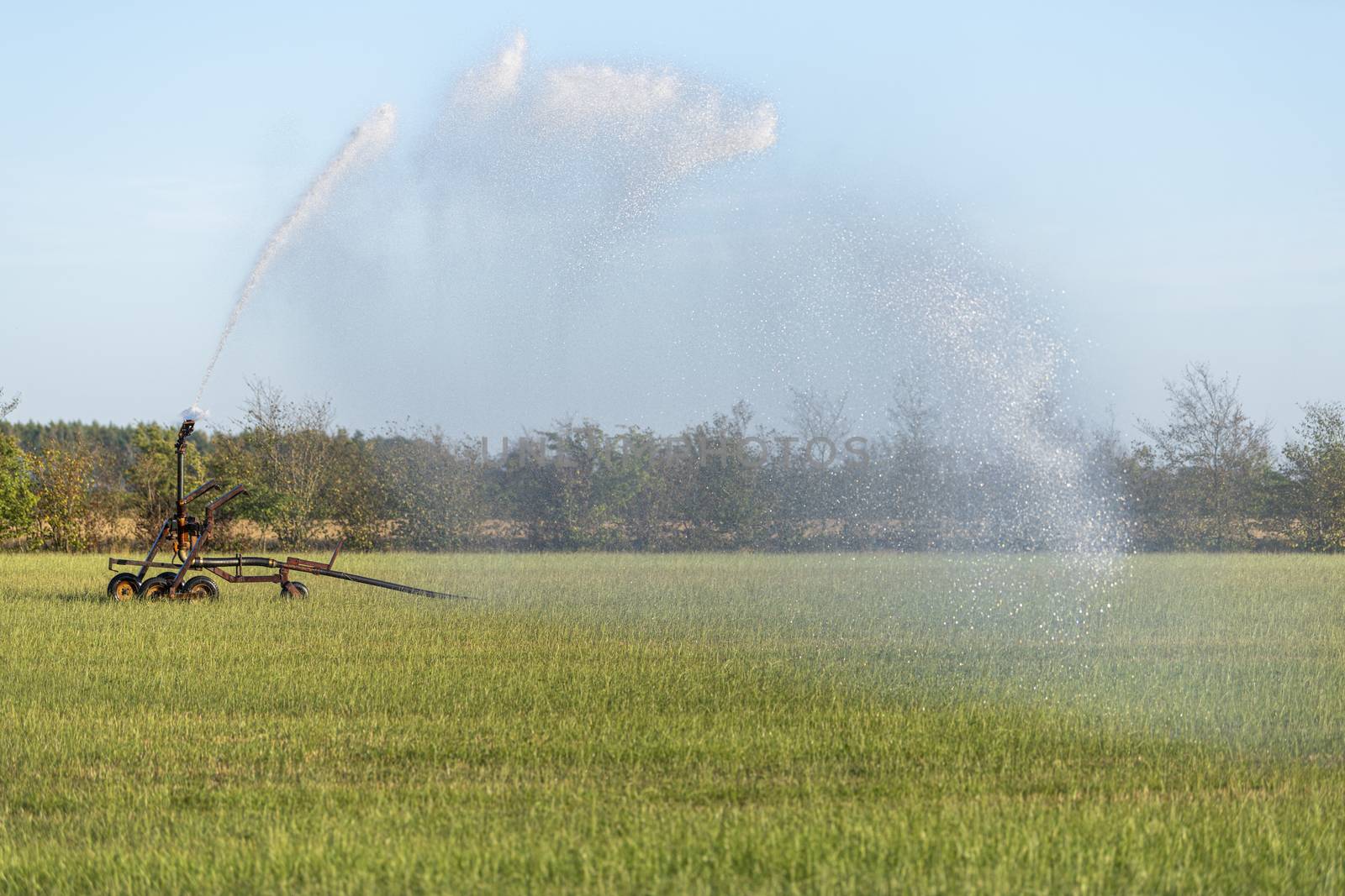 Water Sprinkler in a pasture
 by Tofotografie