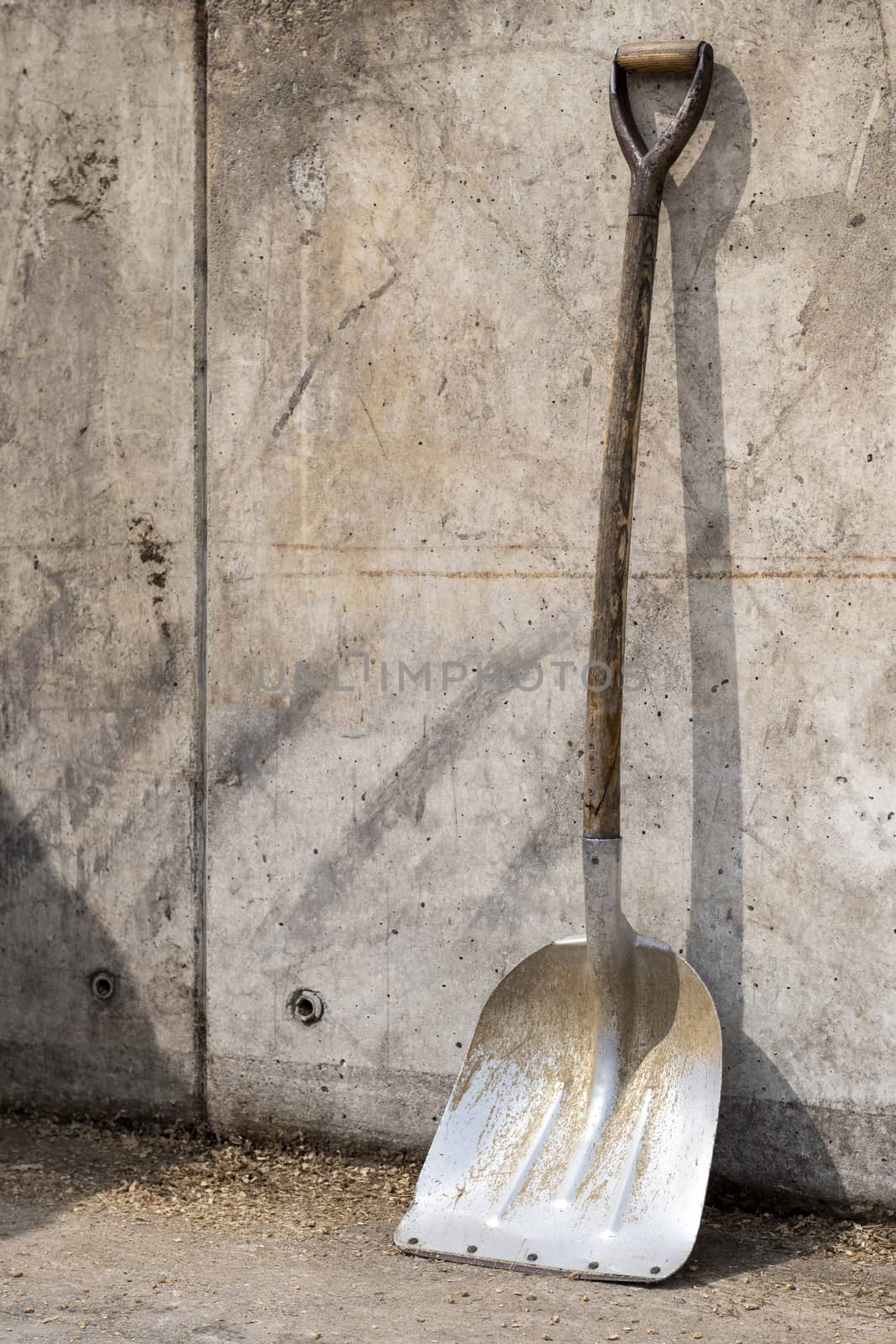 Big kick in a concrete pit on a farm
 by Tofotografie