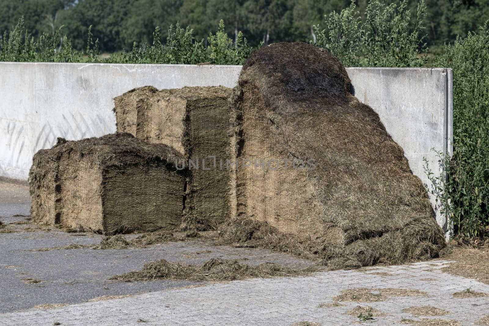 Silage in a concrete pit
 by Tofotografie