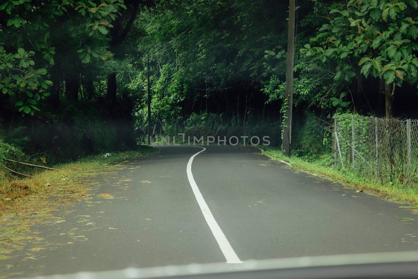 Empty road towards the forest by amr_lal