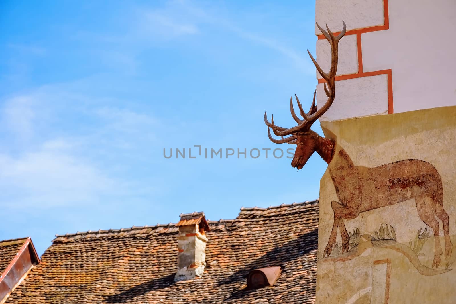 Corner of a House with a Deer Head by SNR