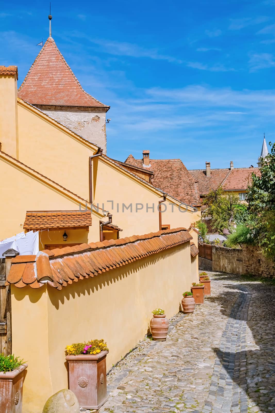 Street in Old Town of Sighisoara, Romania