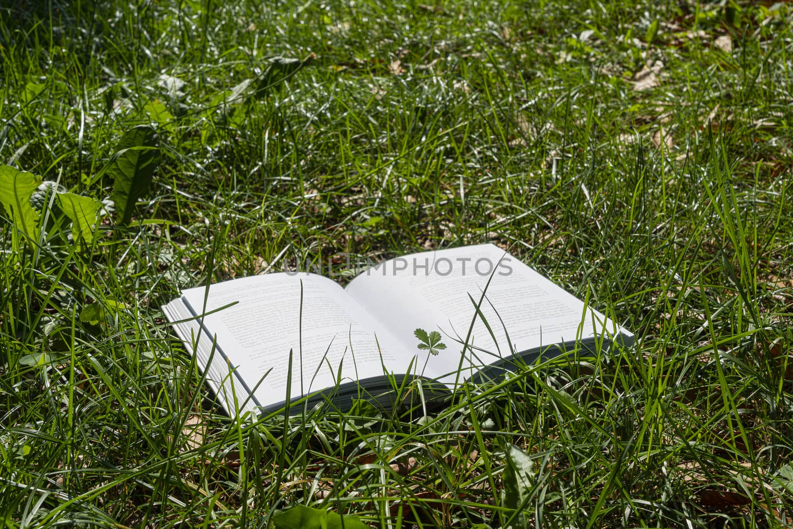 A book on the grass by sergiodv